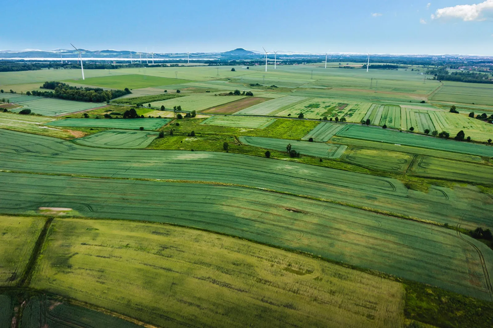Green fields seen from above
