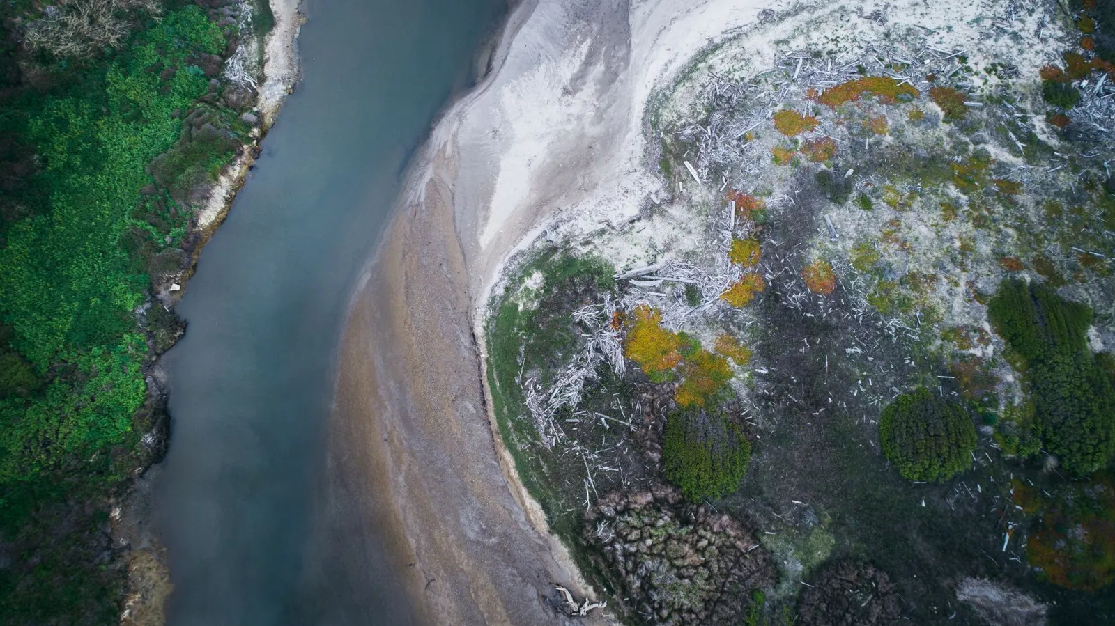A river seen from above