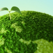 A global green new deal